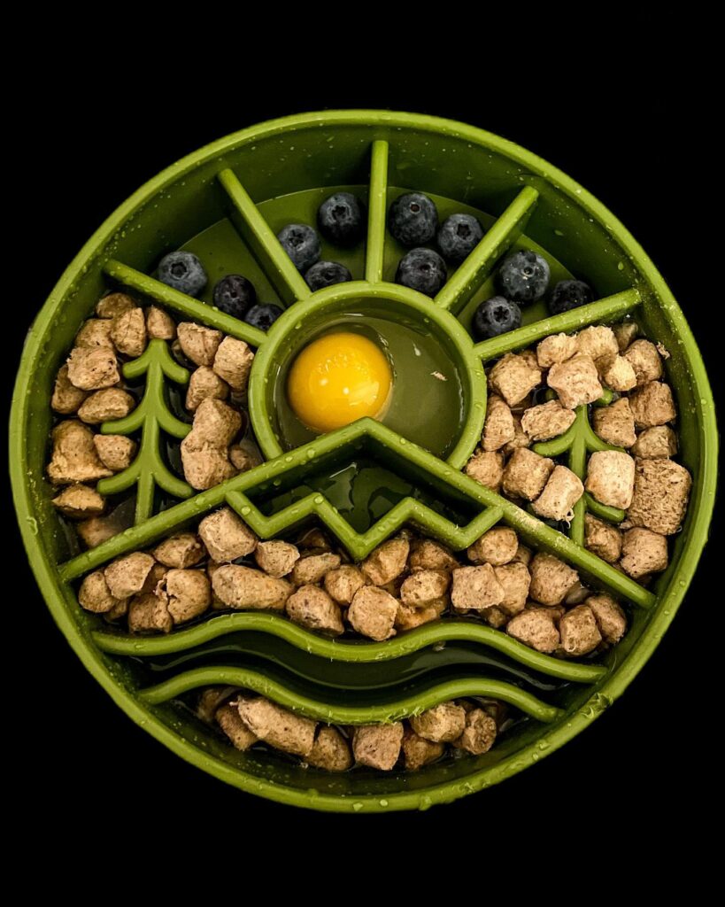 10 Nutritious Homemade Dog Food Recipes Your Pup Will Love Image 5 819x1024