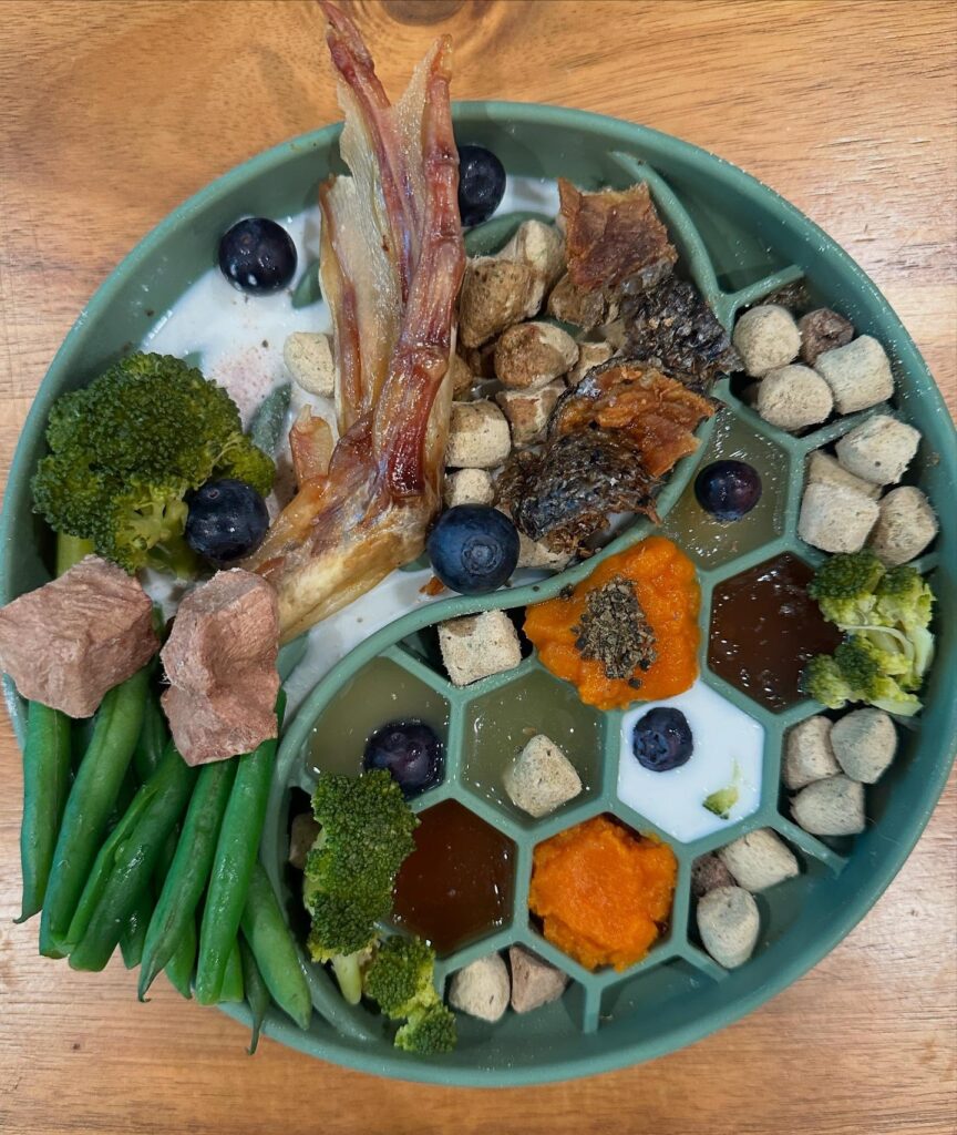 10 Nutritious Homemade Dog Food Recipes Your Pup Will Love Image 7 864x1024