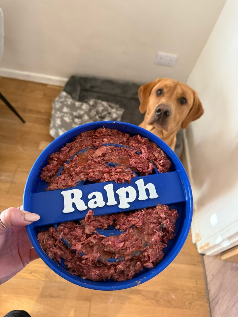 10 Nutritious Homemade Dog Food Recipes Your Pup Will Love Image 8 769x1024