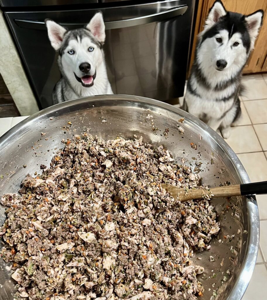 10 Nutritious Homemade Dog Food Recipes Your Pup Will Love Image 9 913x1024
