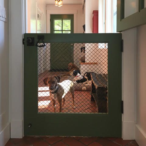 10 Creative Dog Door Ideas for Happy Pets Image 226