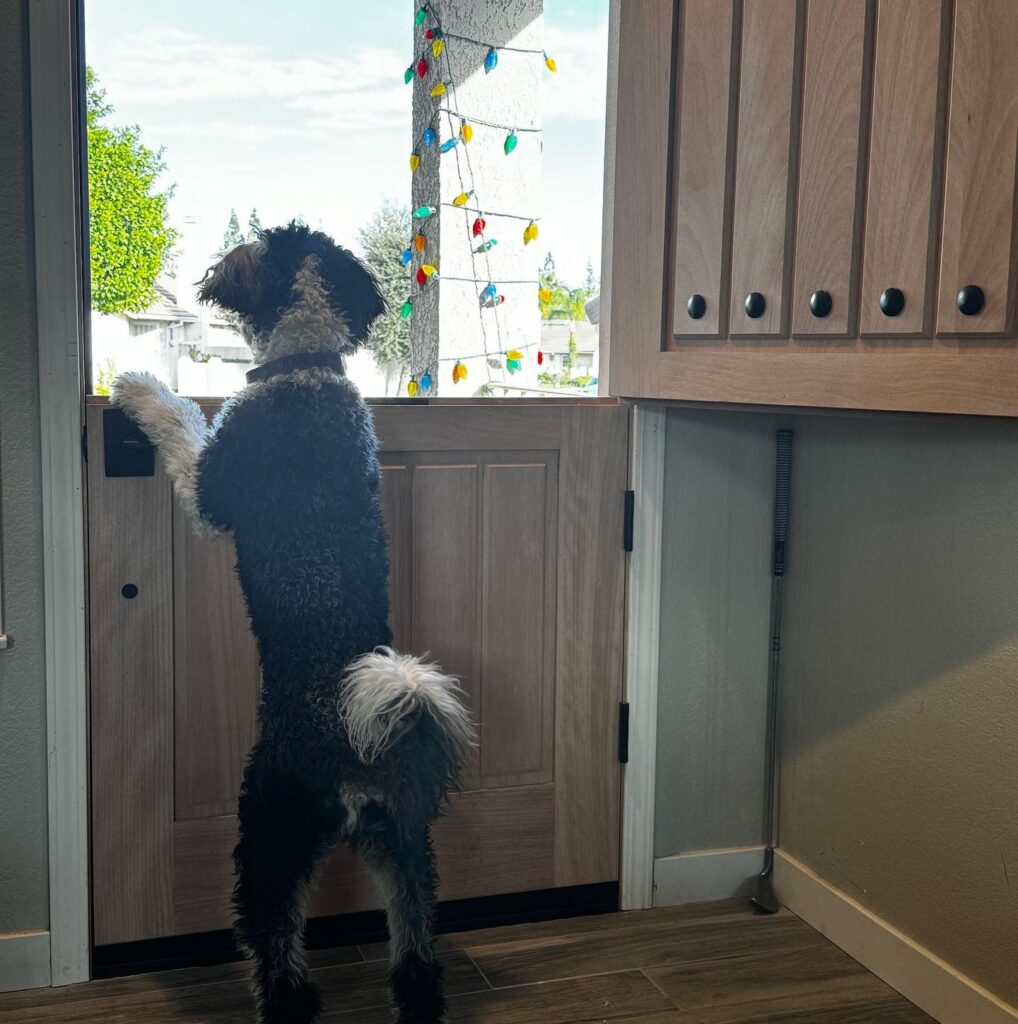 10 Creative Dog Door Ideas for Happy Pets Image 230 1018x1024