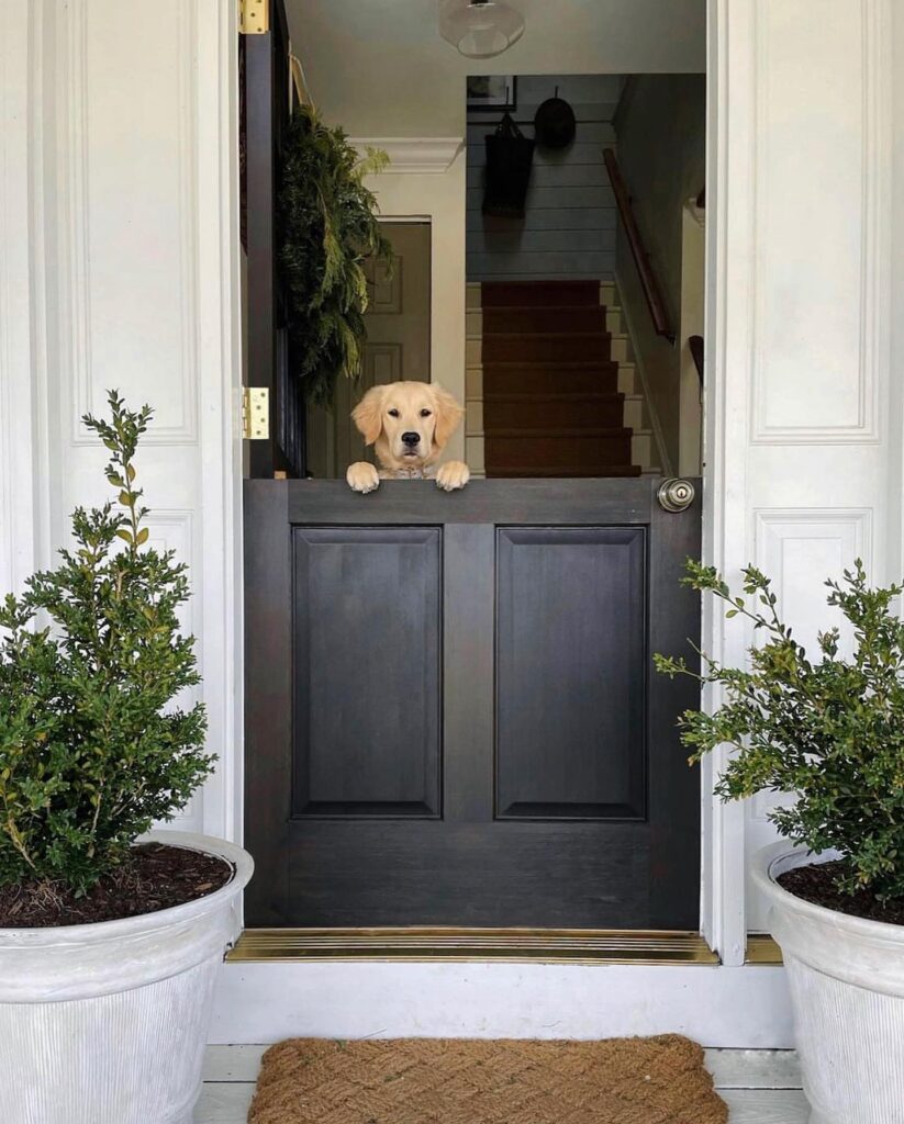 10 Creative Dog Door Ideas for Happy Pets Image 232 823x1024