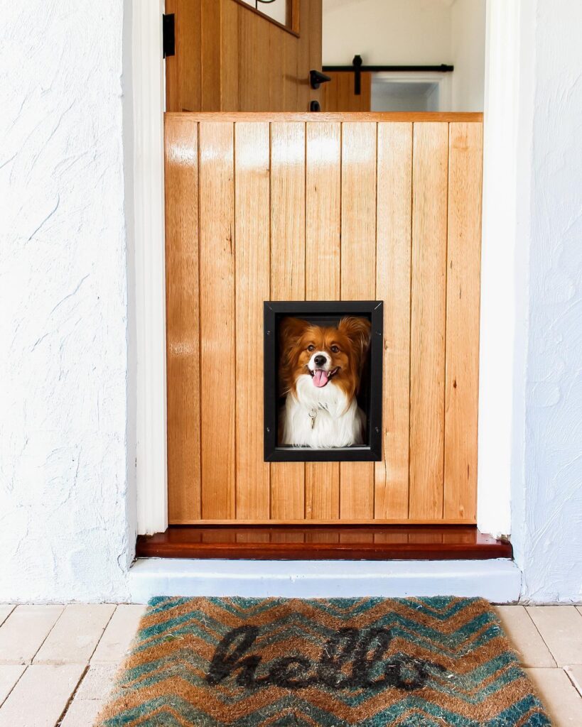 10 Creative Dog Door Ideas for Happy Pets Image 234 819x1024