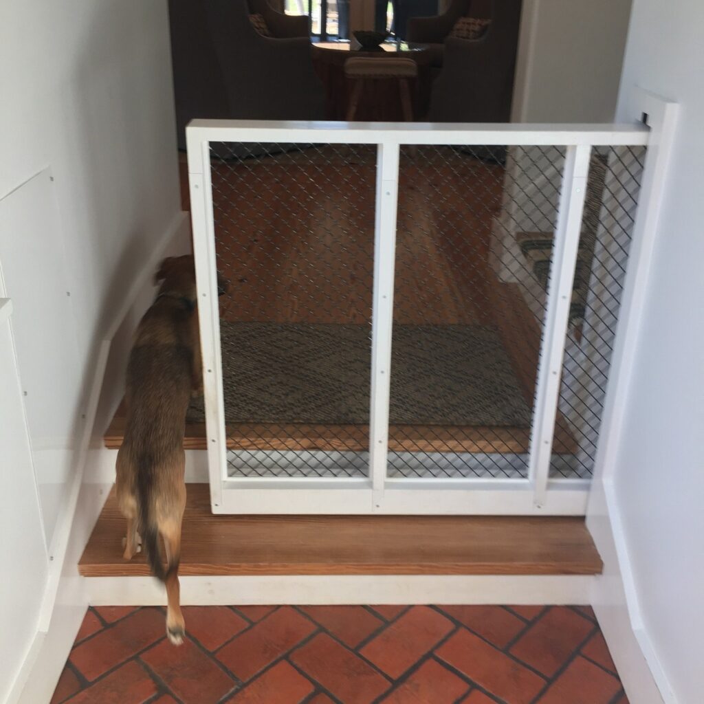 10 Creative Dog Door Ideas for Happy Pets Image 235 1024x1024