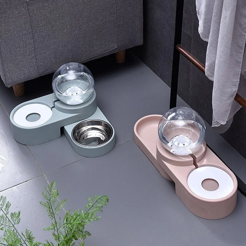 10 Essentials for Your Dog Food Station Setup Image 250