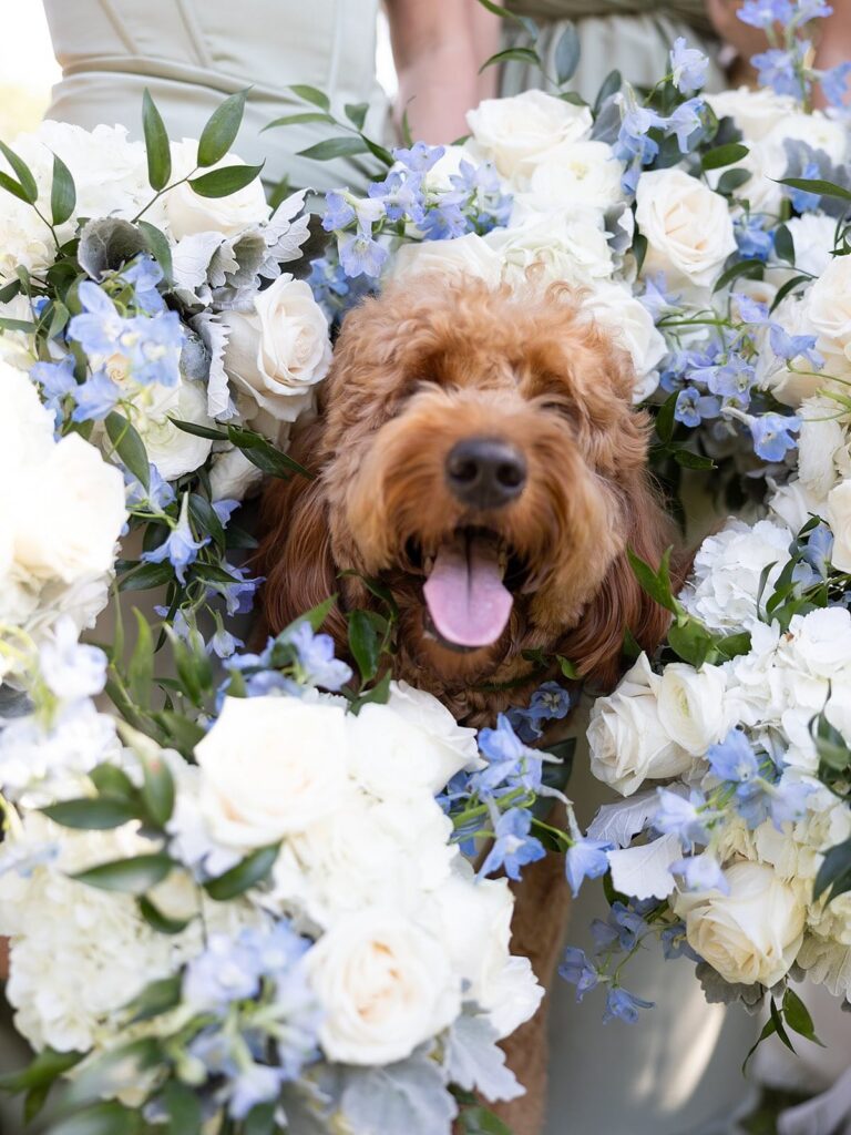 Wags Of Love 1762102152 3757107625000528629 58827651887 768x1024