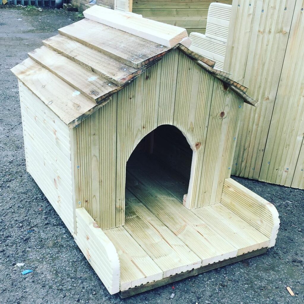 Welsh Wood Wizard 1492948618 1499284134235896339 5344021406 1024x1024