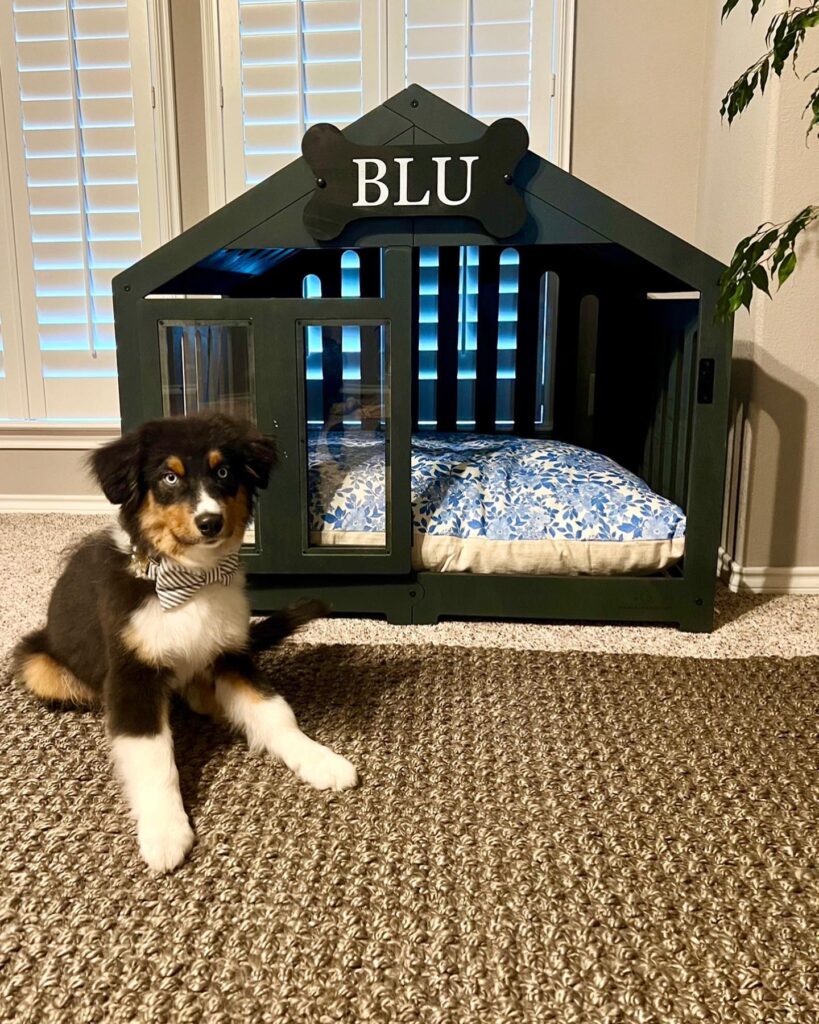 Zumablutheaussie 1682946287 3093100106241056947 58125839516 819x1024