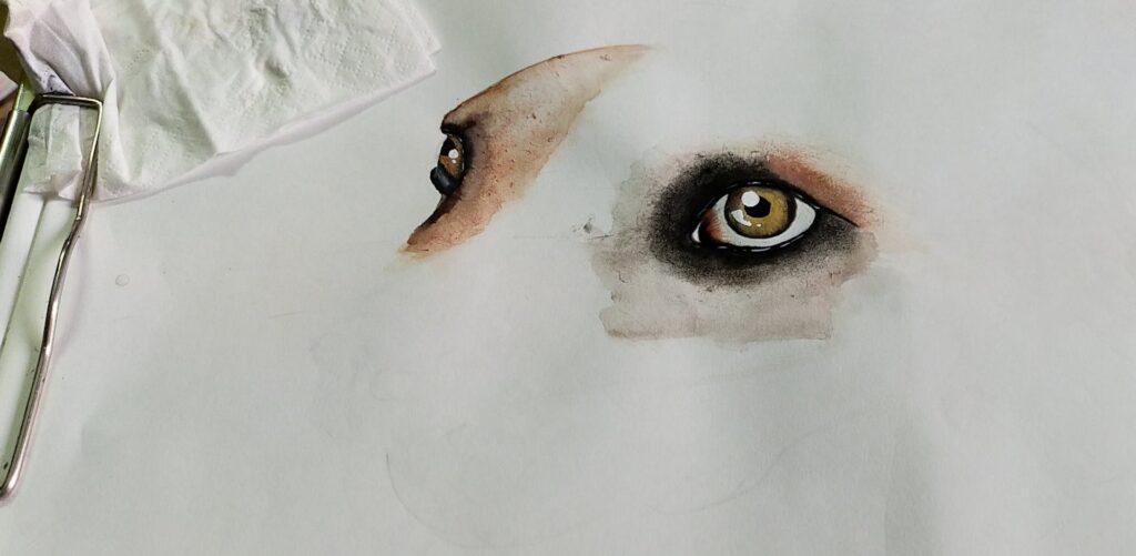 Image 141 1024x501