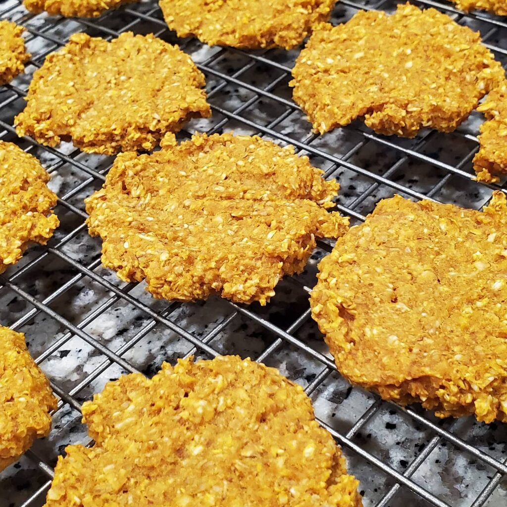 Pumpkin Dog Treats Recipe Image 15 1024x1024
