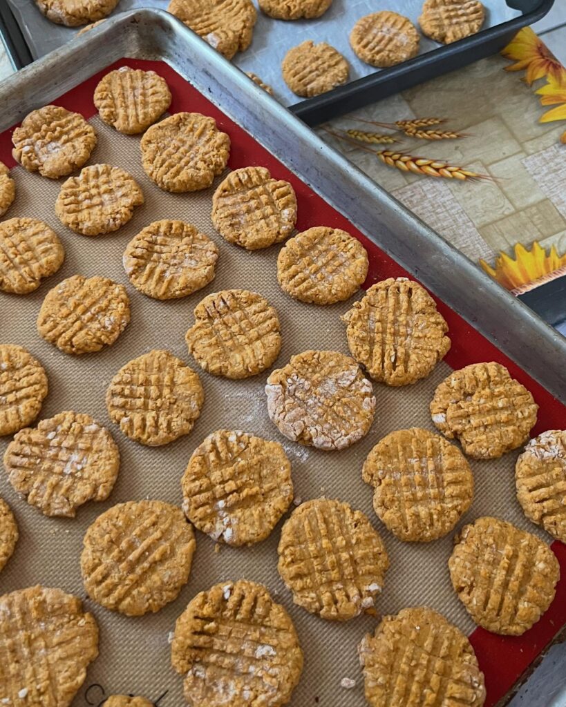 Pumpkin Dog Treats Recipe Image 17 819x1024
