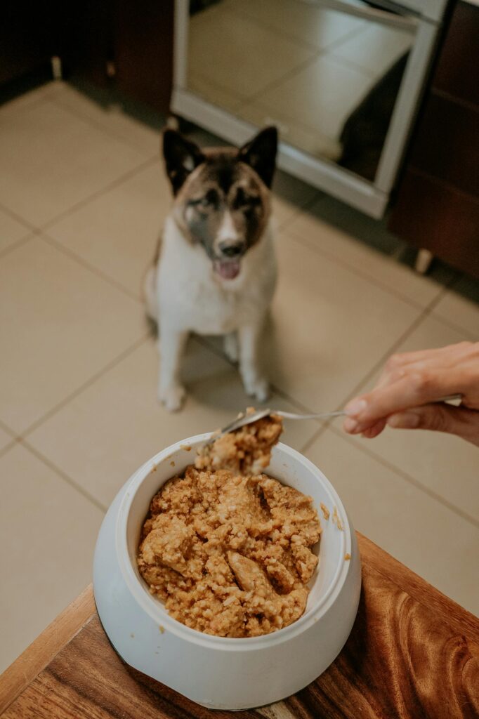 Homemade Dog Food Crockpot Image 58 682x1024