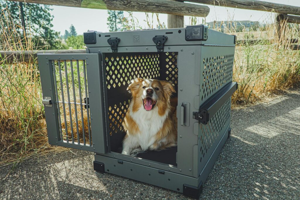 Pexels Impact Dog Crates 1789722873 29040379 1024x683