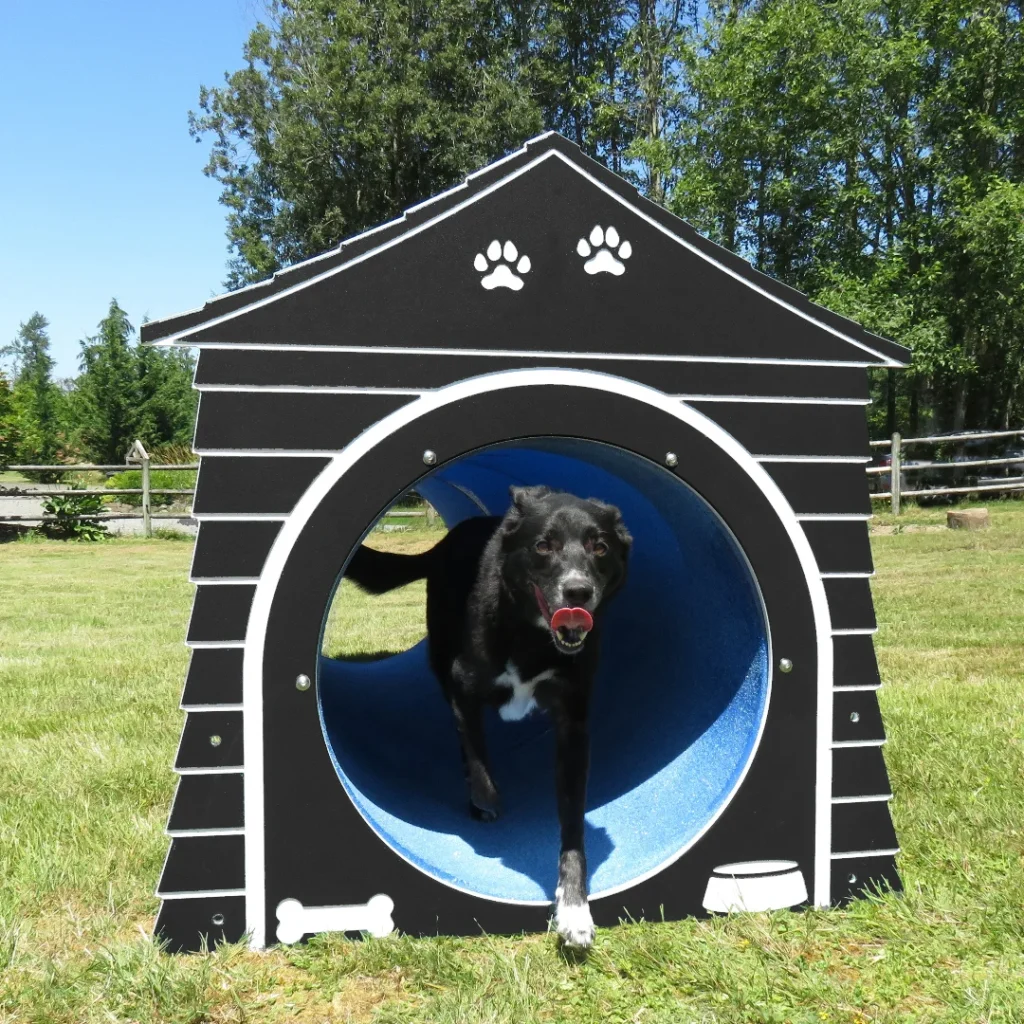 Dogonitparks 1743020184 3597036474962910625 2922661001 1024x1024