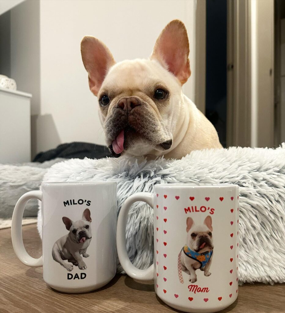 Frenchiebulldogmilo 1675432230 3030067624633977875 35583878192 932x1024
