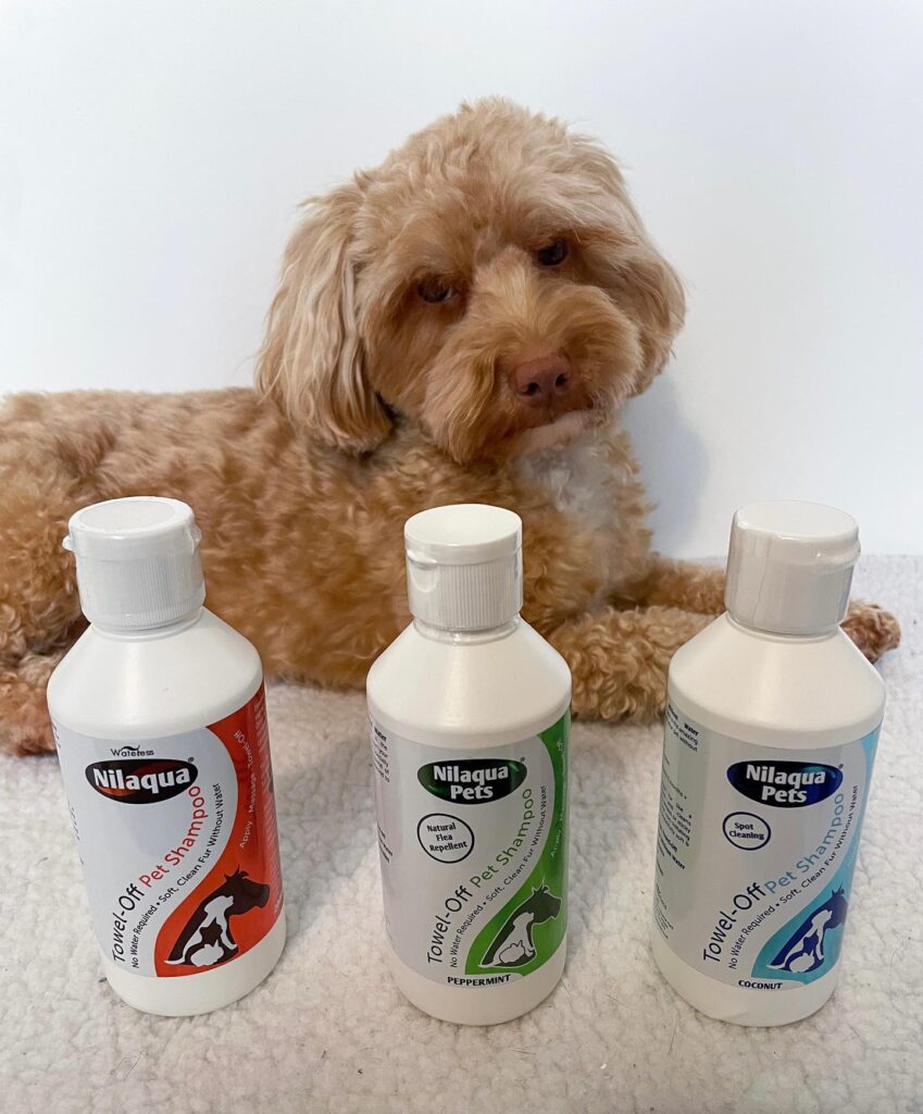 7 Homemade Dog Toothpaste Recipes for Happy Pups Image 72 849x1024