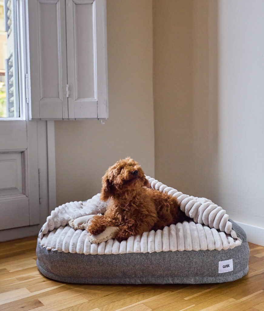 19 Dog Bed Sewing Patterns You'll Actually Use Cafidepets 1756749757 3712208398118046179 45064736939 871x1024