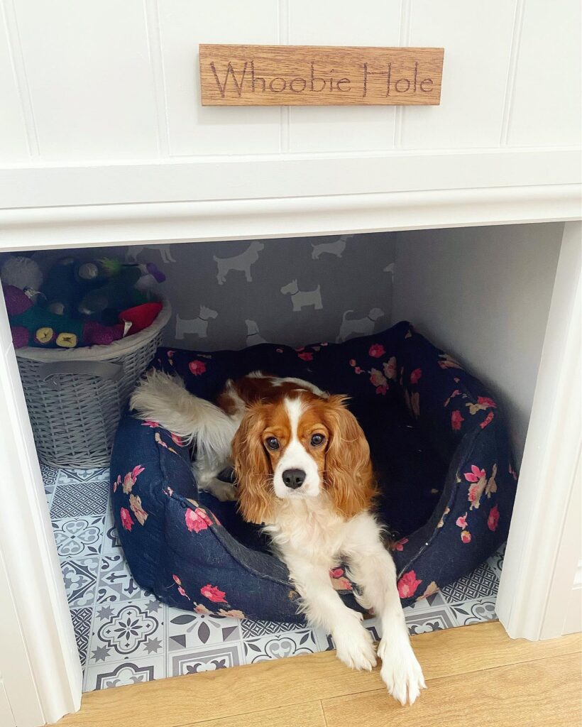 17 Dog Bed Under Stairs Ideas That Fit Cavalier Lily Rey 1661598634 2914023007110824344 18318031026 820x1024
