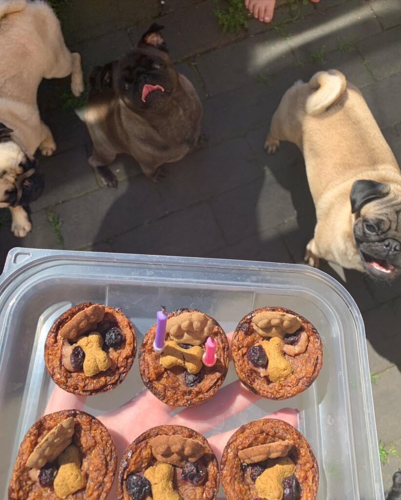 7 Tasty Homemade Dog Snacks For Daily Rewards Image 209 822x1024