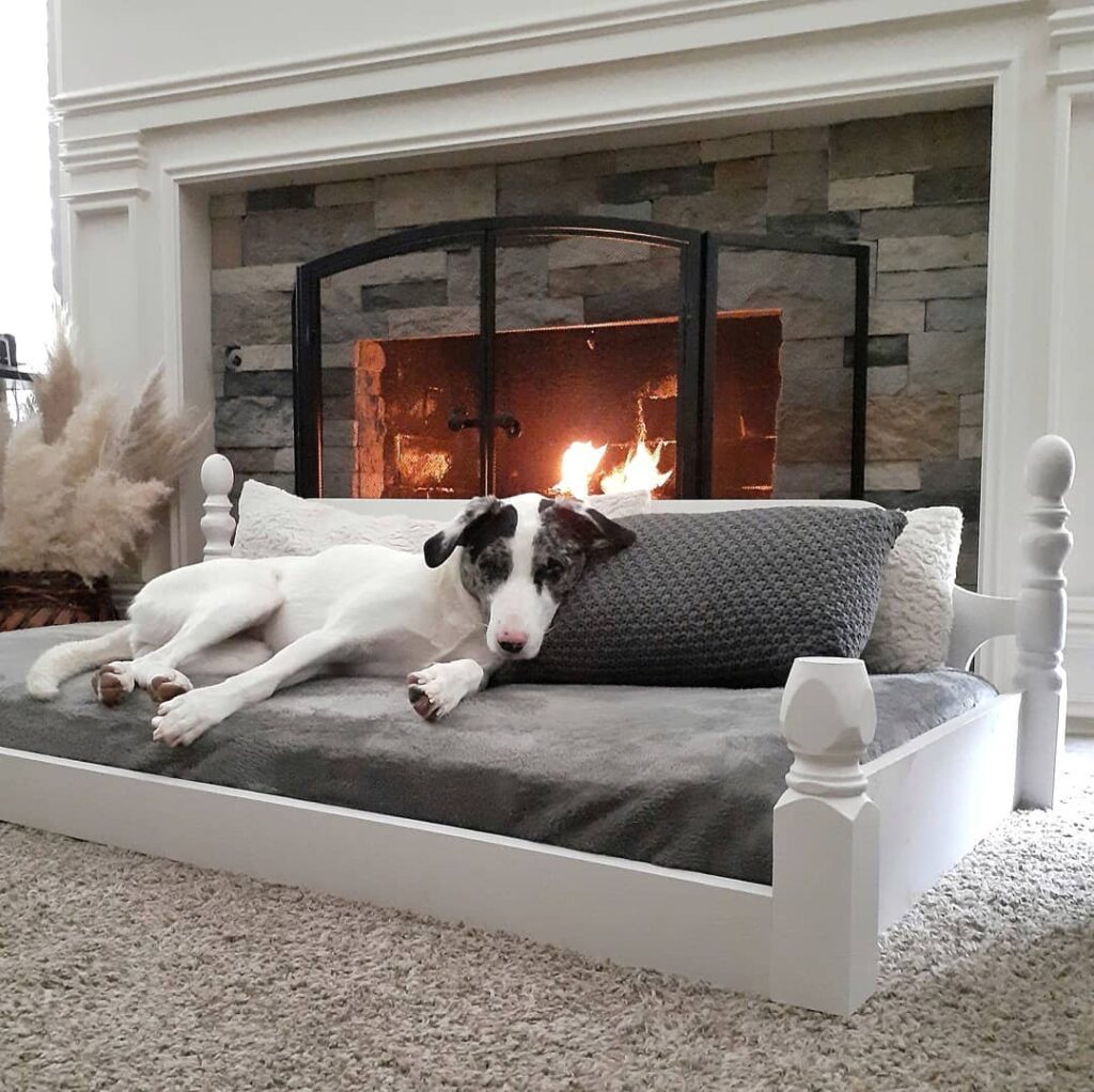 16 Crib Mattress Dog Bed Hacks That Work Perfectionist.confectionist.ok 1603850275 2429594663802236991 2154331871 1024x1022