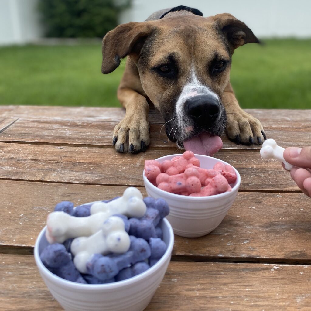 Petkinpetcare 1656694535 2872884444582540419 710688940 1024x1024