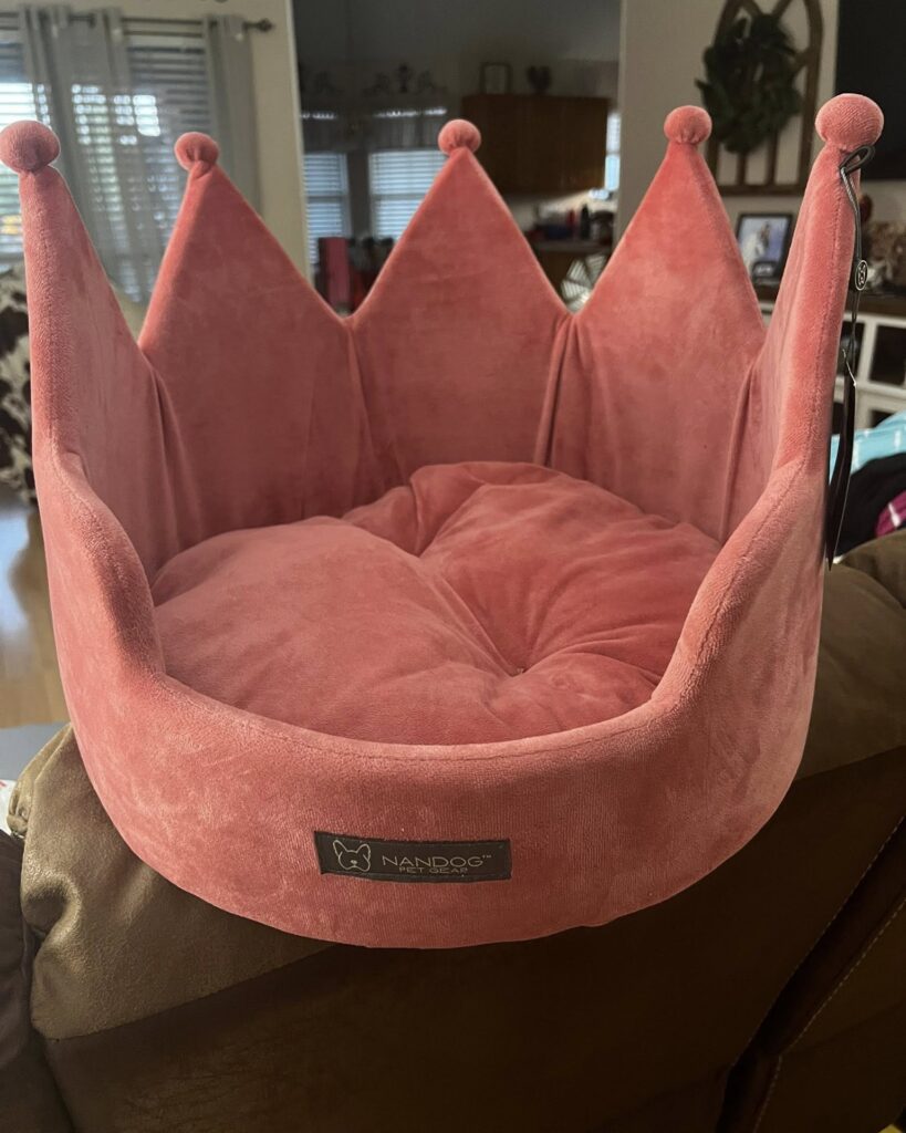 22 Princess Dog Bed Styles She'll Love Tcarlile1961 1750209939 3657348505074808060 45993054 819x1024