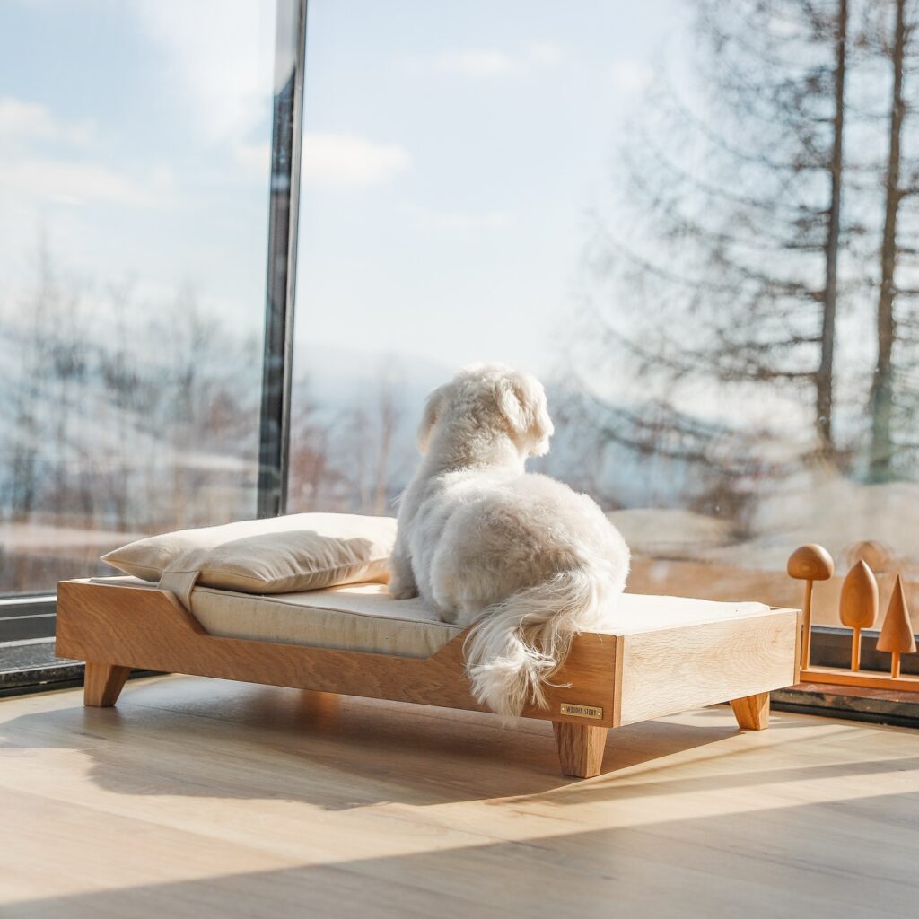 19 Wood Dog Bed Designs for Modern Homes Woodenstory 1743748692 3603147640354729580 648376414 1024x1024