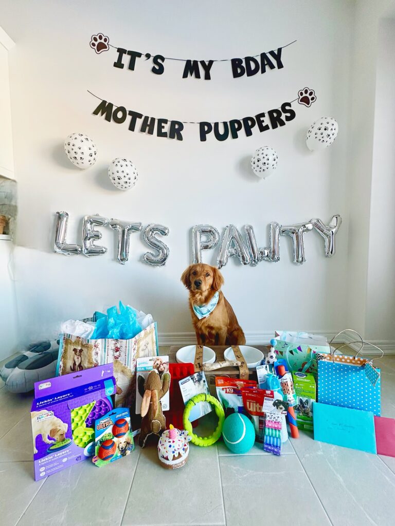 Winstontheredgolden 1770293507 3825820867523253049 71647755608 768x1024